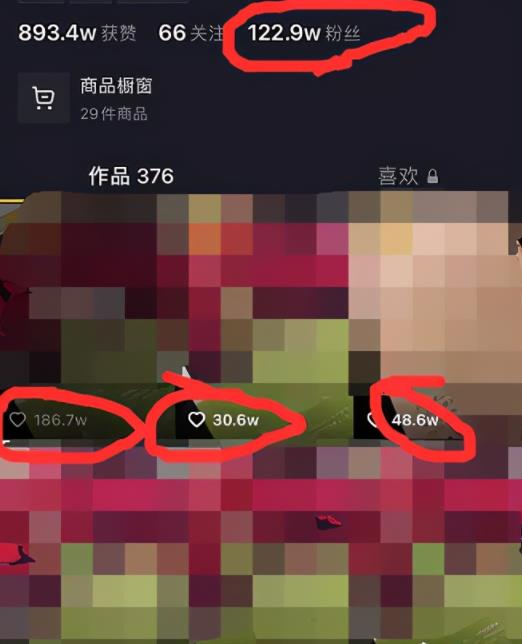 抖音赚钱项目之无脑操作一本书，赚了20万5！插图