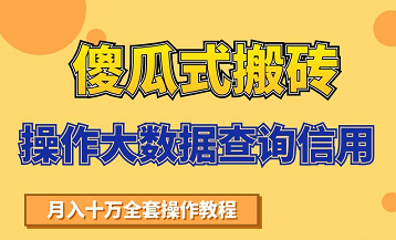 搬砖操作大数据查询信用项目赚钱教程，祝你快速月入6万插图