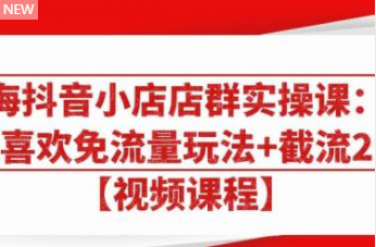 大海抖音小店店群实操课：猜你喜欢免流量玩法+截流 2.0插图