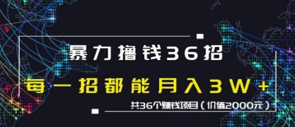 蜘蛛火暴力撸钱36招，共36个赚钱项目价值2000元插图