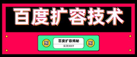 百度扩容最新技术，实测扩容300T，上手即可接单（价值699全套资料）插图