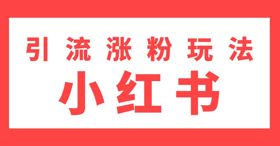 雨果：不用写文章，不用拍照片，小红书另类引流涨粉玩法（视频课程）插图