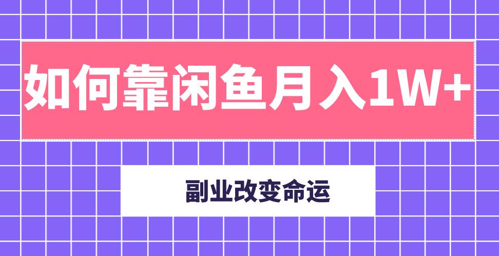 主业成就人生，副业改变命运！分享我是如何靠闲鱼月入10000+（完结）插图