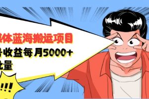 自媒体蓝海搬运项目：单号收益每月基本都可以达到5000+，可批量