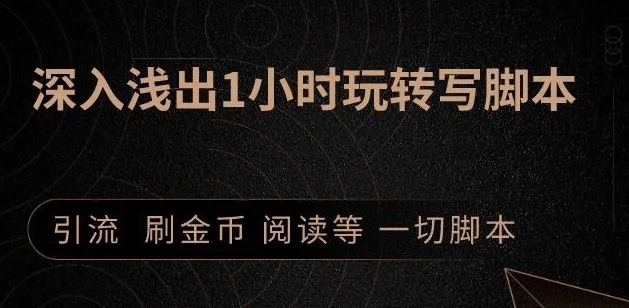 引流脚本实战课：1小时深入浅出视频实操讲解，教你0基础学会写引流脚本插图