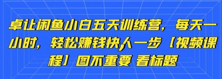 卓让闲鱼小白五天训练营，每天一小时，轻松赚钱快人一步插图