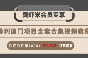 暴利偏门项目全套合集视频教程：你要的日赚1000+月入几万+项目都有