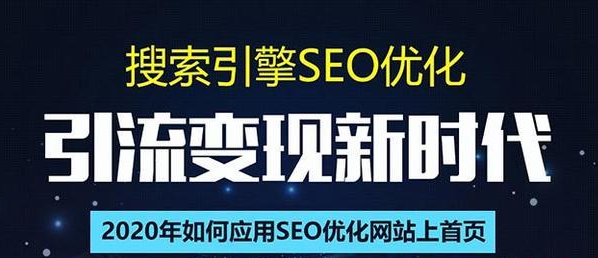 SEO搜索引擎优化总监实战VIP课堂【透析2020最新案例】快速实现年新30W插图