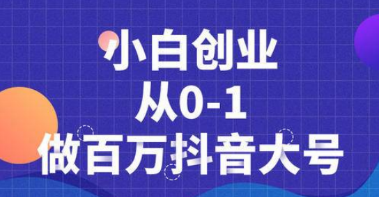 蛋解创业抖音短视频从0到1做百万大号，爆款内容策划，产品千万级别的曝光！插图