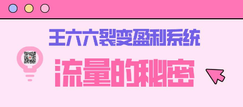 王六六裂变盈利系统课程01流量的秘密（核心诱饵+信任模型+裂变模式）插图