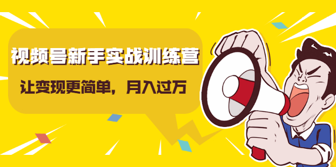 视频号新手实战训练营，让变现更简单，玩赚视频号，轻松月入过万插图