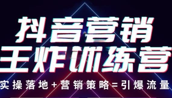 抖音营销王炸训练营，实操落地+营销策略=引爆流量（价值8960元）插图