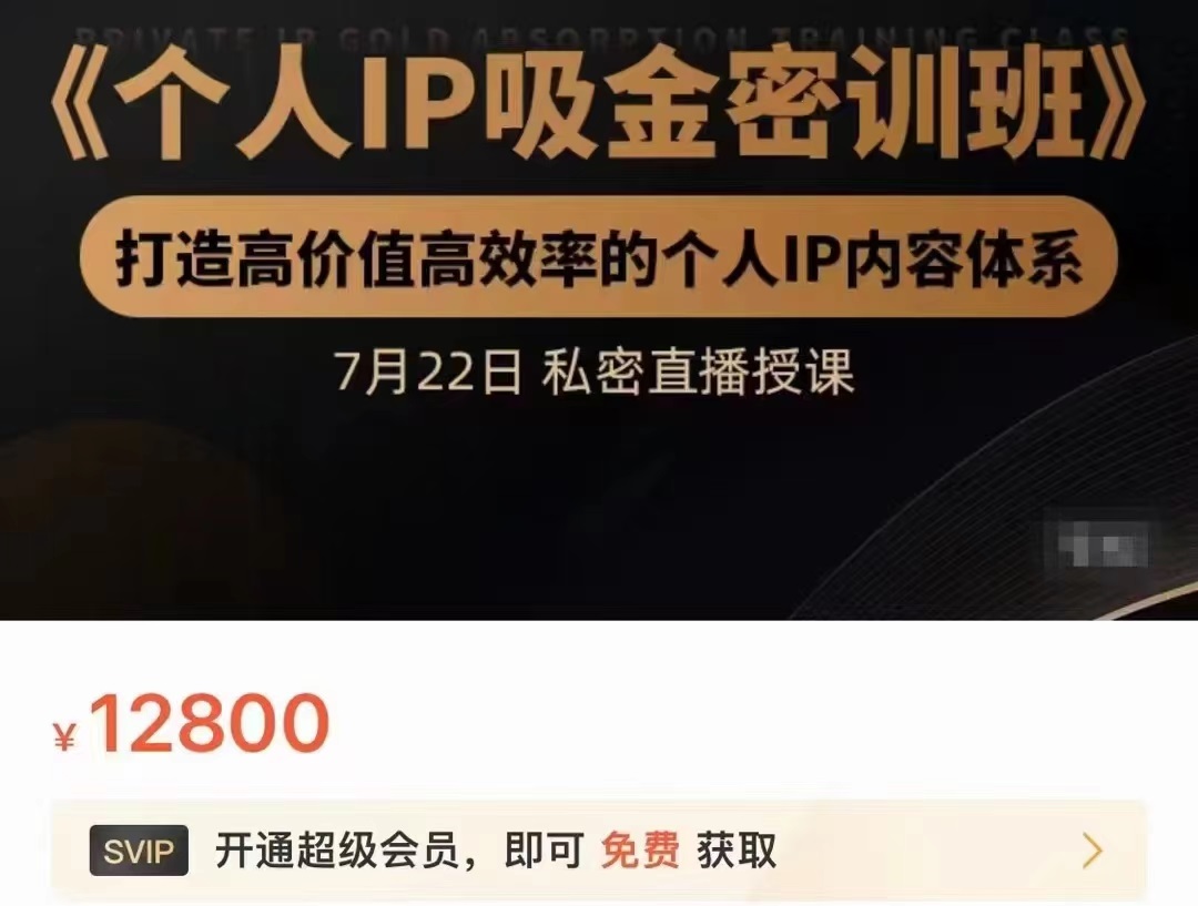 个人IP吸金密训班，打造高价值高效率的个人IP内容体系（价值12800元）插图