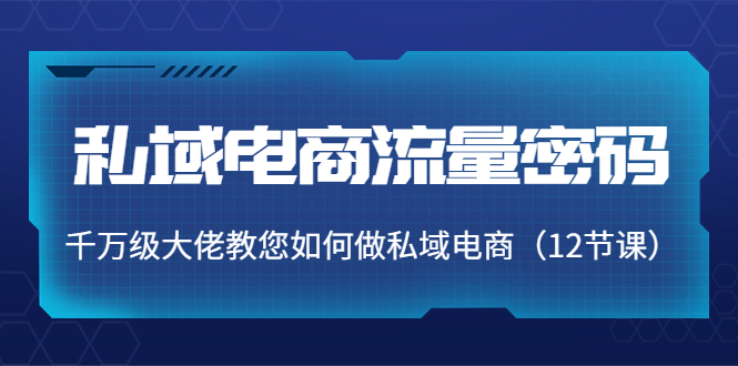 私域电商流量密码：千万级大佬教您如何做私域电商（12节课）插图