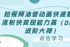 黄岛主《淘宝蓝海虚拟项目陪跑训练营6.0》每天纯利润200到1000+纯实战课