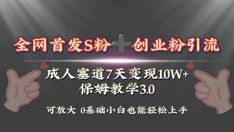 D-0011A全网首发s粉加创业粉引流变现，成人用品赛道7天变现10w+保姆教学3.0